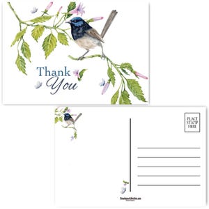 Pretty Blue Bird Resting on a Branch Watercolor Thank You Postcards - 4 x 6 Birthday Postcards - 40 Postcards - B17192