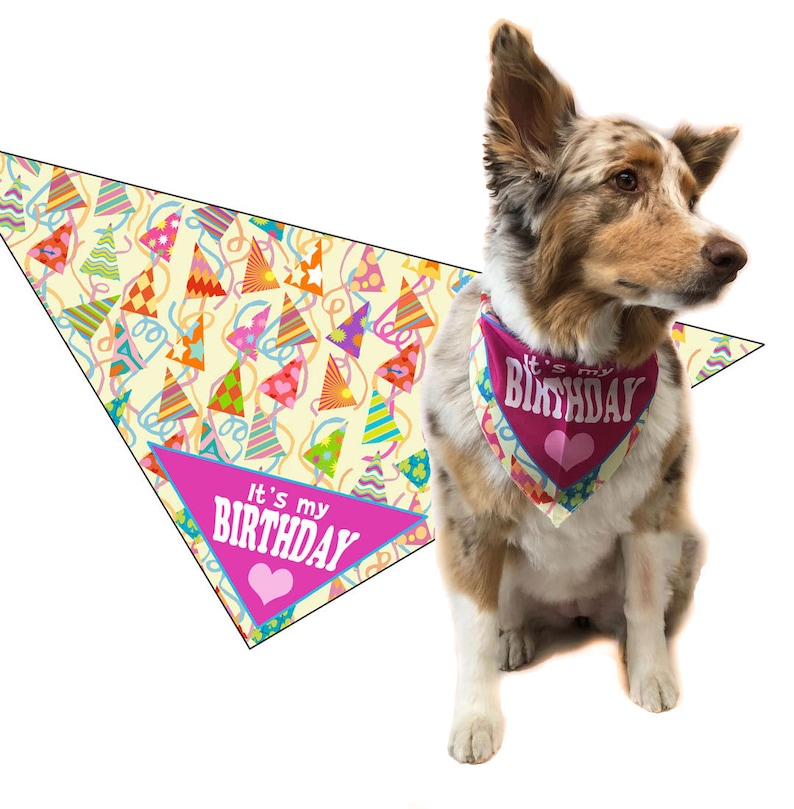 Happy Birthday Dog Bandana Dog Birthday Scarf Accessory Etsy