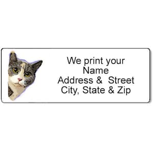 Black and White Cat return Address Label -Feline Fun - Personalized Address Label - 21562