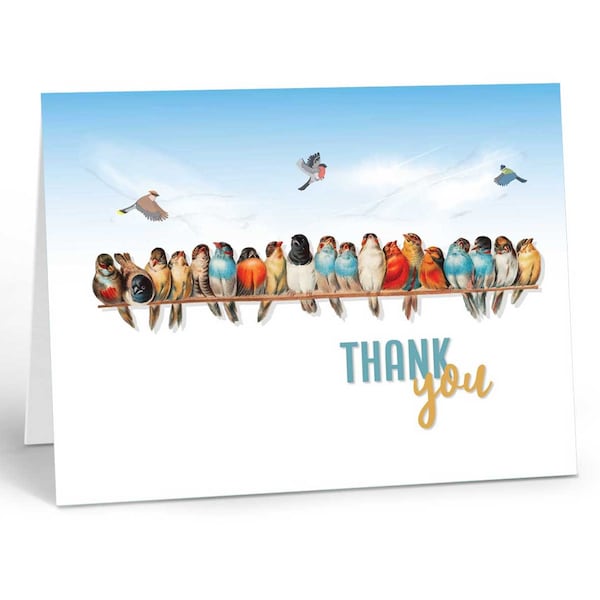 Birds On A Line Thank You Note Card - 10 Thank You Note Cards and Envelopes - Birds - B14464