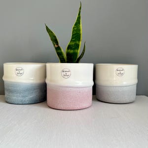 May include: Three ceramic plant pots in blue, pink, and grey, each with a textured lower section and a white upper section. A green plant with yellow accents is in the centre pot. Each pot has a "Handmade in Portugal" sticker.