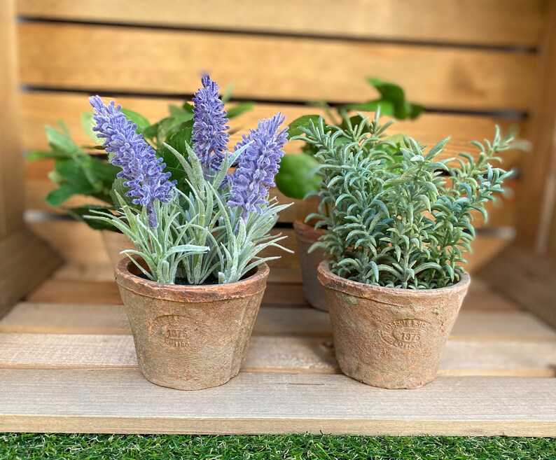 Small Artificial Herbs in Aged Terracotta Pots Faux Lavender Etsy UK