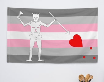 Demigirl Blackbeard Pirate Pride Flag, Demigirl Flag, Blackbeard Flag, Demigirl Pirate, Demigirl Decor, Our Flag Means Death, OFMD Flag