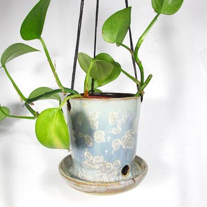 May include: A hanging ceramic planter with a light blue and white glaze, featuring a matching saucer. The planter has drainage holes and is suspended by black cords. Green leafy vines cascade from the top, creating a decorative display.