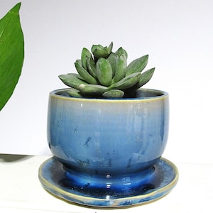 May include: A blue ceramic planter with a matching saucer, holding a green succulent plant. The planter has a gradient effect, transitioning from a light beige at the top to a deep blue at the base. The succulent has thick, green leaves.