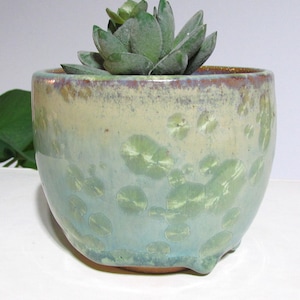 May include: A small, round ceramic planter with a light green and blue glaze, featuring a textured pattern. The planter holds a green succulent plant. The rim has a brown and purple trim. The planter has three small feet.
