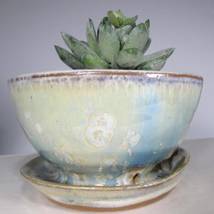 May include: A ceramic planter with a matching saucer, glazed in shades of pale yellow, blue, and brown. The planter holds a green succulent plant. The bowl-shaped planter has a wide rim and sits on a round saucer.