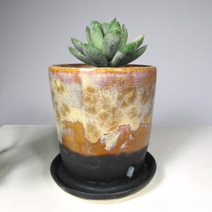 May include: A ceramic planter with a succulent plant. The planter has a unique glaze with shades of brown, tan, and purple, transitioning to a black base. The succulent has green leaves. The planter sits on a black saucer.
