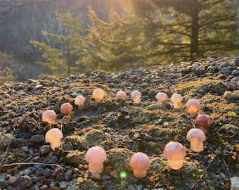 Mini Flower Agate Mushroom « Crystal Mushroom « Mini Mushroom Crystal « Mushroom Stone « Stone Mushroom