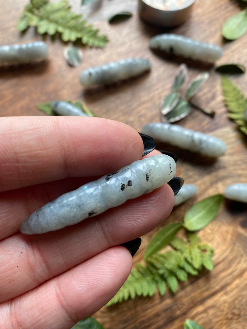 Labradorite Caterpillar Crystal Crystal Caterpillar Metaphysical Metamorphosis Energy Stones for Transformation & Change image 10