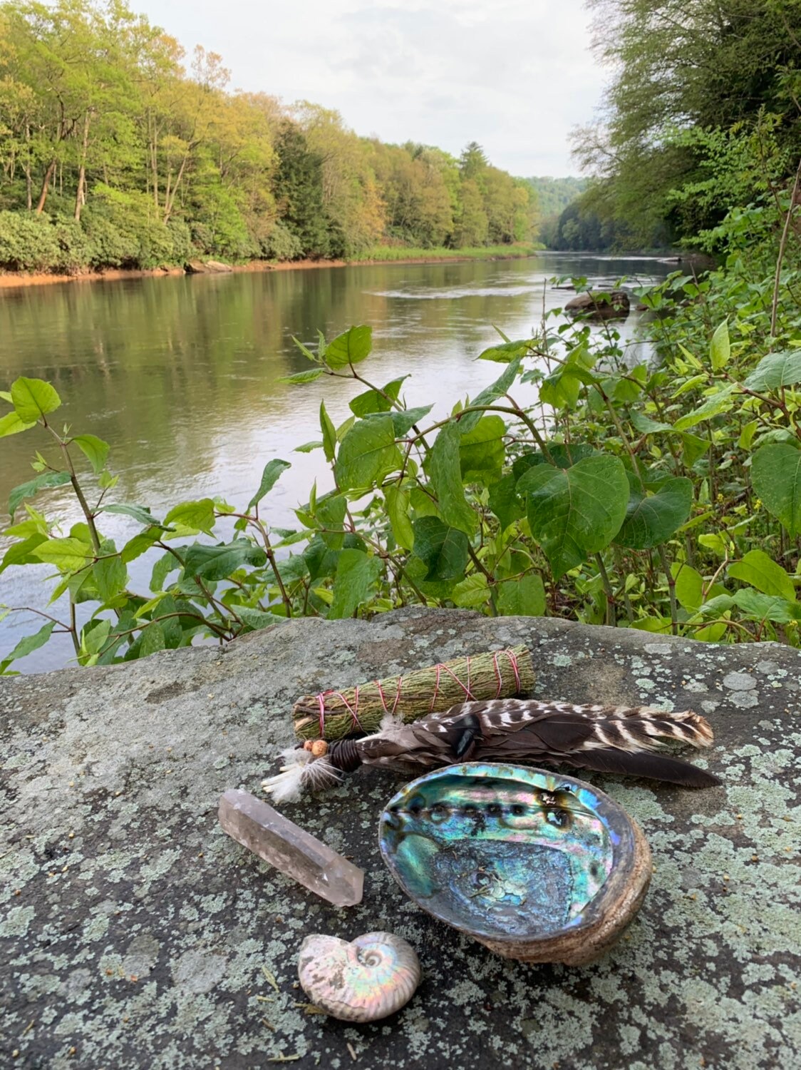 Paquete grande de madera de cedro // 9 Varita de madera | Etsy