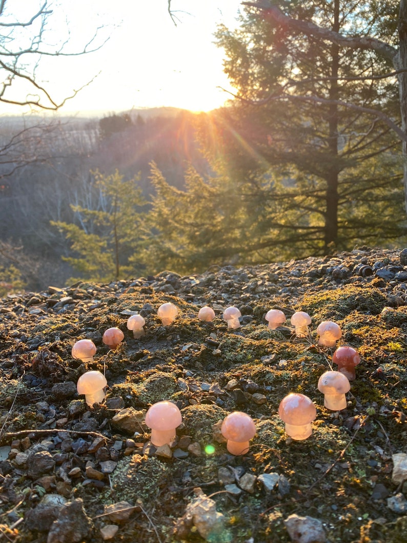 Mini Flower Agate Mushroom Crystal Mushroom Mini Mushroom Crystal Mushroom Stone Stone Mushroom image 1