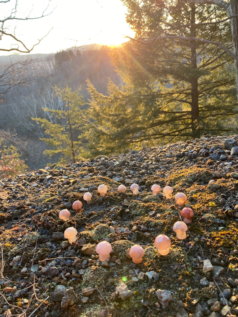 Mini Flower Agate Mushroom Crystal Mushroom Mini Mushroom Crystal Mushroom Stone Stone Mushroom image 9