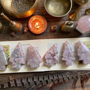 May include: Five pink and white agate arrowhead crystals arranged on a book with a botanical illustration. The crystals are polished and have a natural, organic shape.