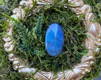 Labradorite Portal and Shield » Crystal Artwork » Upcycled Home Decor » Forest Faerie Foraged Framed Labradorite Art