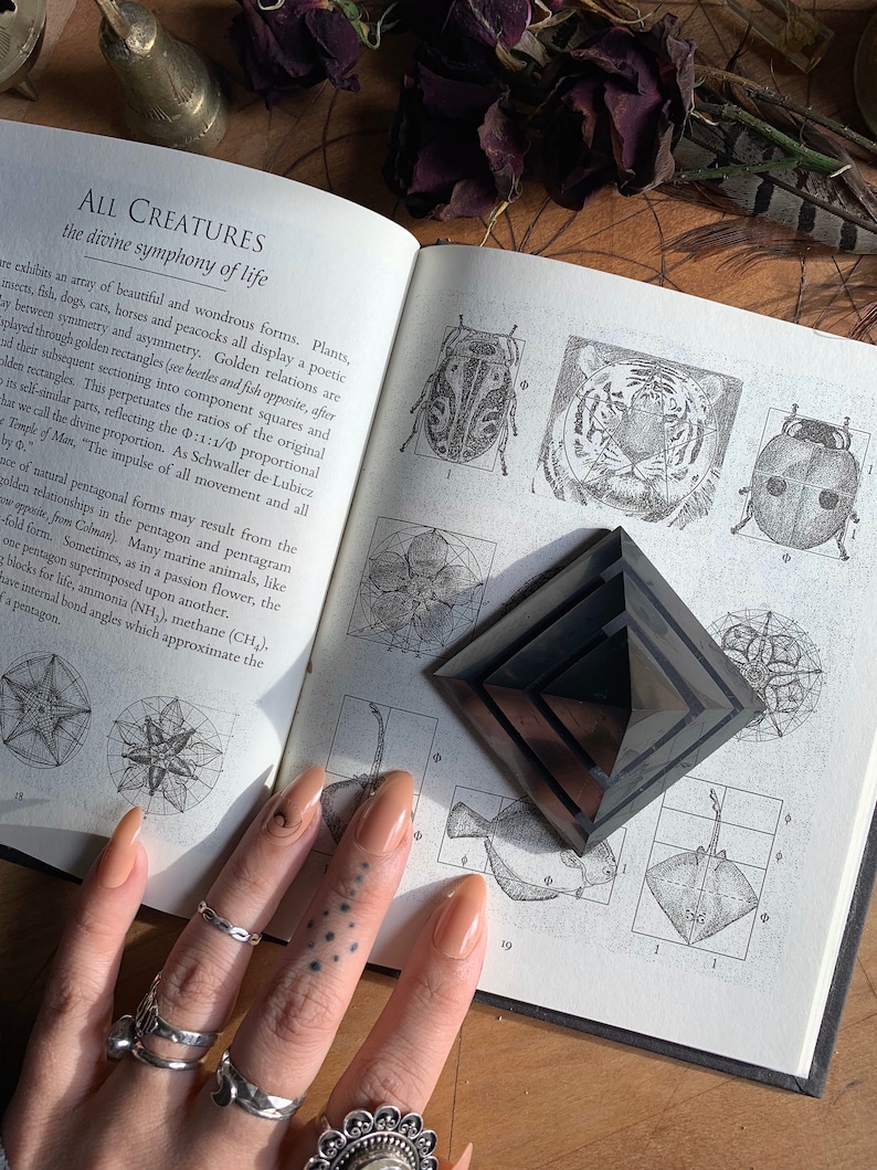 May include: A black obsidian pyramid sits on an open book with illustrations of animals and geometric shapes. The book's text reads "ALL CREATURES the divine symphony of life".