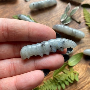 Labradorite Caterpillar Crystal Crystal Caterpillar Metaphysical Metamorphosis Energy Stones for Transformation & Change image 2