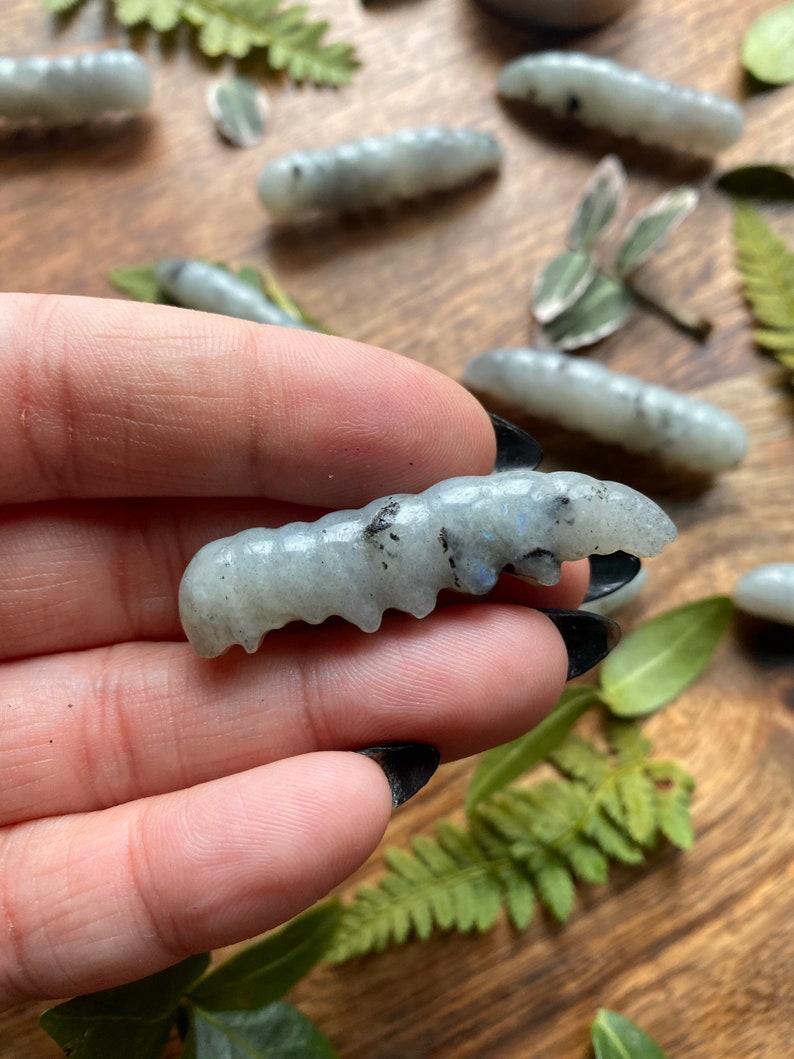 Labradorite Caterpillar Crystal Crystal Caterpillar Metaphysical Metamorphosis Energy Stones for Transformation & Change image 2