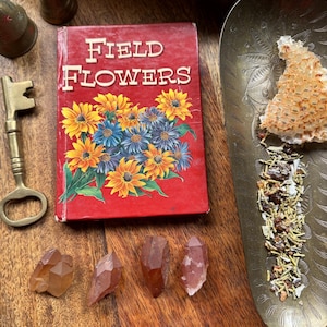 Puede incluir: Un libro vintage titulado "Field Flowers" con una portada roja e ilustraciones de flores coloridas. Cuatro cristales naranjas están dispuestos sobre una superficie de madera junto al libro. Una pequeña bandeja de metal con hierbas secas y un trozo de panal se encuentra a la derecha de la imagen.