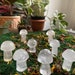 see more listings in the Crystal Mushrooms section