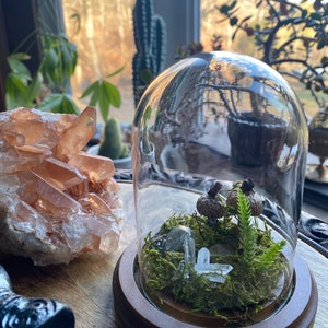 Crystal Forest Dome Terrarium » Mushroom Crystal Terrarium » Intentional Home Decor » Fairy Decor with Labradorite, Quartz, & Pyrite