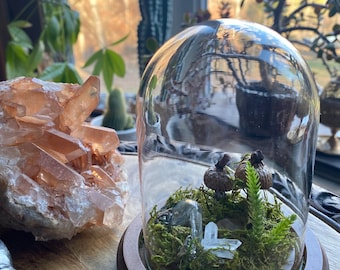 Crystal Forest Dome Terrarium » Mushroom Crystal Terrarium » Intentional Home Decor » Fairy Decor with Labradorite, Quartz, & Pyrite