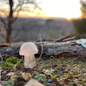 Mini Flower Agate Mushroom Crystal Mushroom Mini Mushroom Crystal Mushroom Stone Stone Mushroom image 2