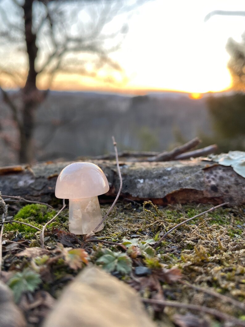 Mini Flower Agate Mushroom Crystal Mushroom Mini Mushroom Crystal Mushroom Stone Stone Mushroom image 2