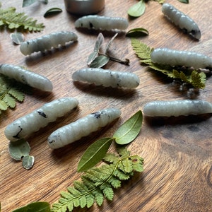 Labradorite Caterpillar Crystal Crystal Caterpillar Metaphysical Metamorphosis Energy Stones for Transformation & Change image 5