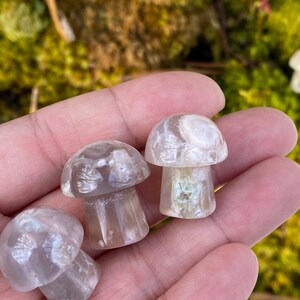 Mini Flower Agate Mushroom Crystal Mushroom Mini Mushroom Crystal Mushroom Stone Stone Mushroom image 4