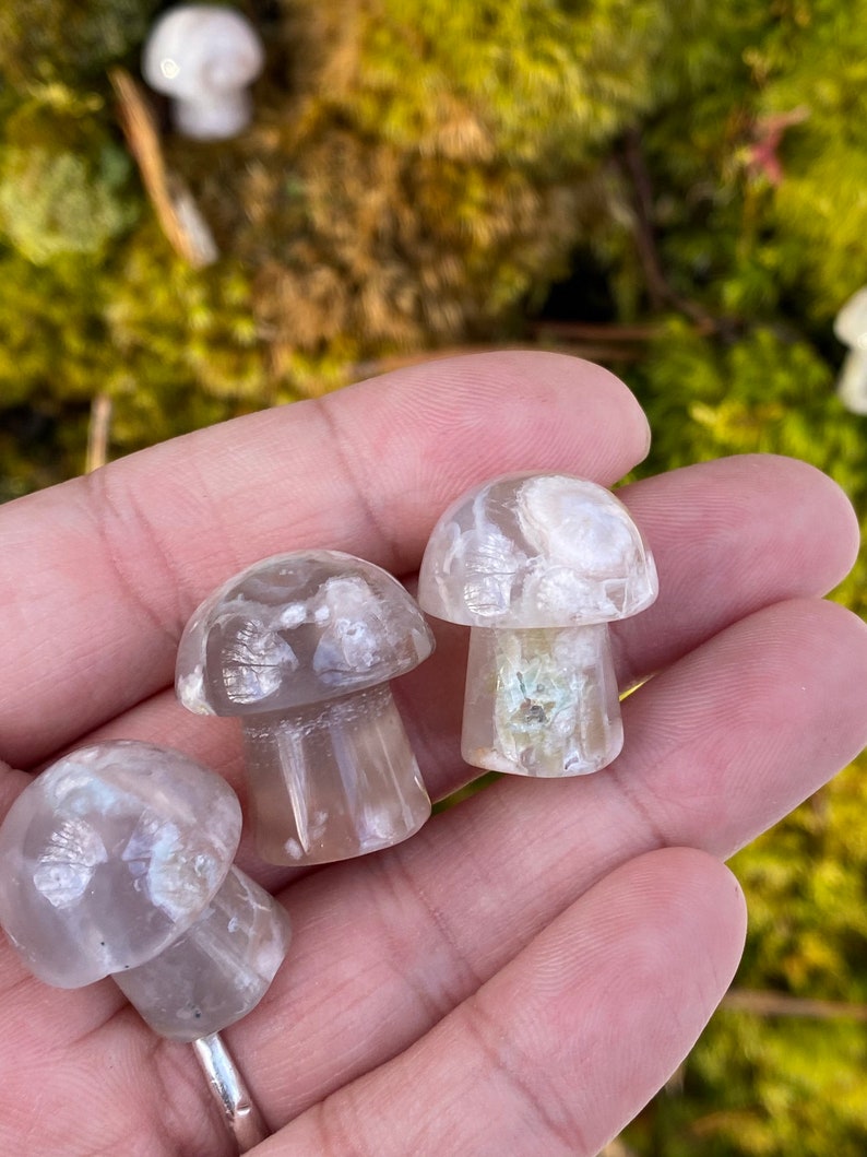 Mini Flower Agate Mushroom Crystal Mushroom Mini Mushroom Crystal Mushroom Stone Stone Mushroom image 4