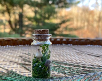 Tiny Crystal Terrarium » Tiny Wonderland Terrarium » Mushroom Fairy Garden Vial