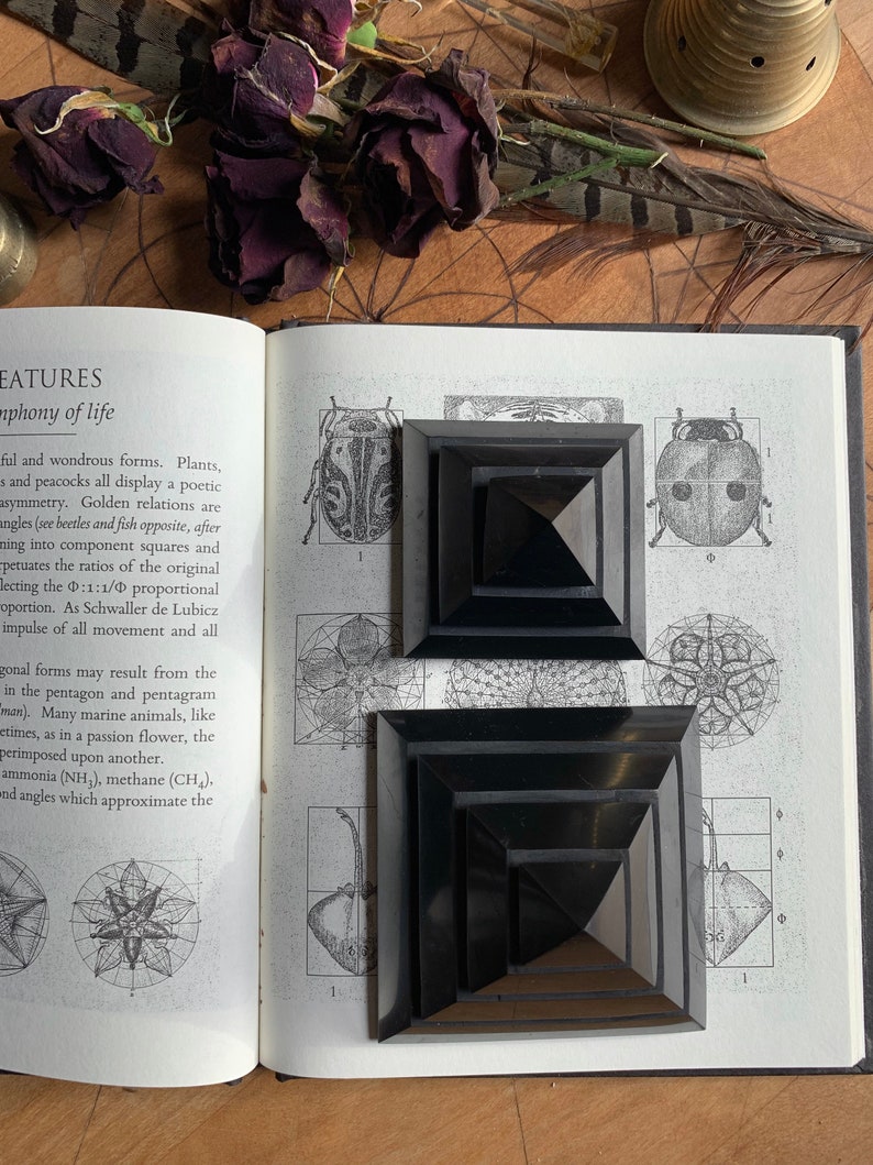 May include: Two black pyramid-shaped objects with multiple layers, sitting on a page of a book with text about geometric forms and the golden ratio. The book is open and the pages are white.