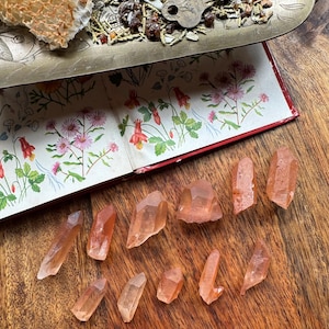 Puede incluir: Una colección de diez puntas de cristal de color naranja rojizo, también conocidas como cornalina, dispuestas sobre una superficie de madera. Los cristales son de varios tamaños y formas, algunos son más puntiagudos que otros.