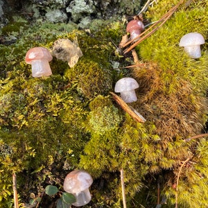 Mini Flower Agate Mushroom Crystal Mushroom Mini Mushroom Crystal Mushroom Stone Stone Mushroom image 3