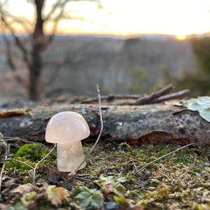 Mini Flower Agate Mushroom Crystal Mushroom Mini Mushroom Crystal Mushroom Stone Stone Mushroom image 5