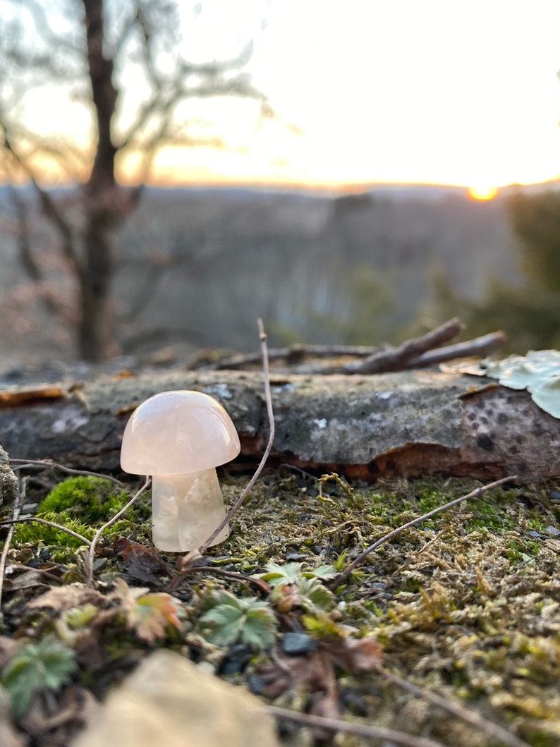 Mini Flower Agate Mushroom Crystal Mushroom Mini Mushroom Crystal Mushroom Stone Stone Mushroom image 5