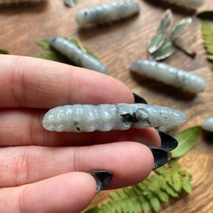 Labradorite Caterpillar Crystal Crystal Caterpillar Metaphysical Metamorphosis Energy Stones for Transformation & Change image 7