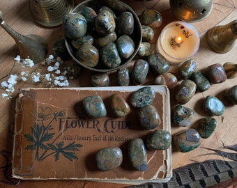 Piedra pulida de jaspe de la selva tropical // Riolita pulida // Cristal de riolita // Piedra pulida de jaspe de la selva tropical