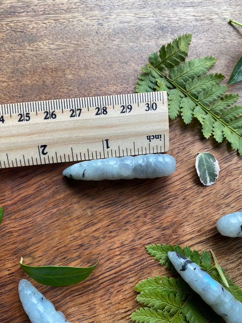 Labradorite Caterpillar Crystal Crystal Caterpillar Metaphysical Metamorphosis Energy Stones for Transformation & Change image 8