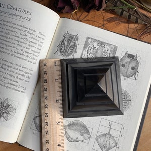 May include: A black pyramid-shaped object with a wooden ruler measuring 5 inches in length. The pyramid is sitting on a page of a book with illustrations of insects and fish.