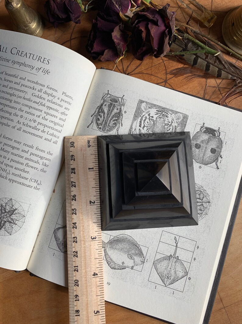 May include: A black pyramid-shaped object with a wooden ruler measuring 5 inches in length. The pyramid is sitting on a page of a book with illustrations of insects and fish.