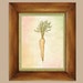 Carrot Watercolor -Mirepoix Print on Fine Art Paper - Giclee Print - Fresh Vegetable Series