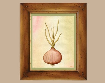 Onion Watercolor - Mirepoix Print on Fine Art Paper - Giclee Print - Fresh Vegetable Series