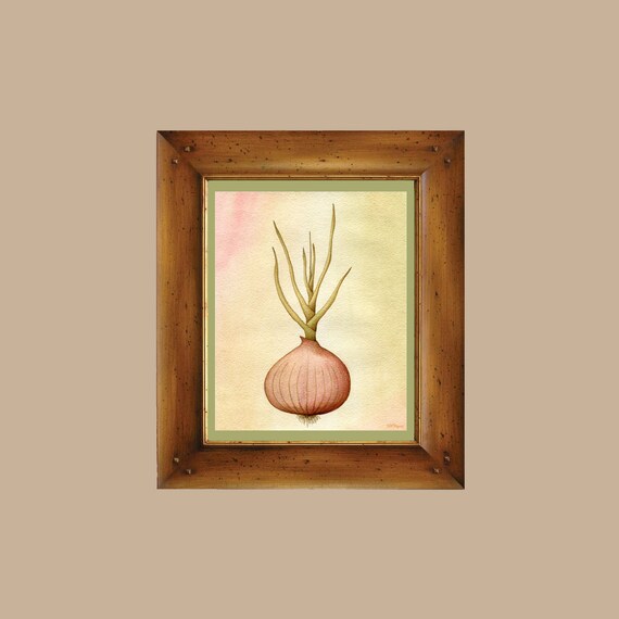 Onion Watercolor Mirepoix Print On Fine Art Paper Giclee Etsy