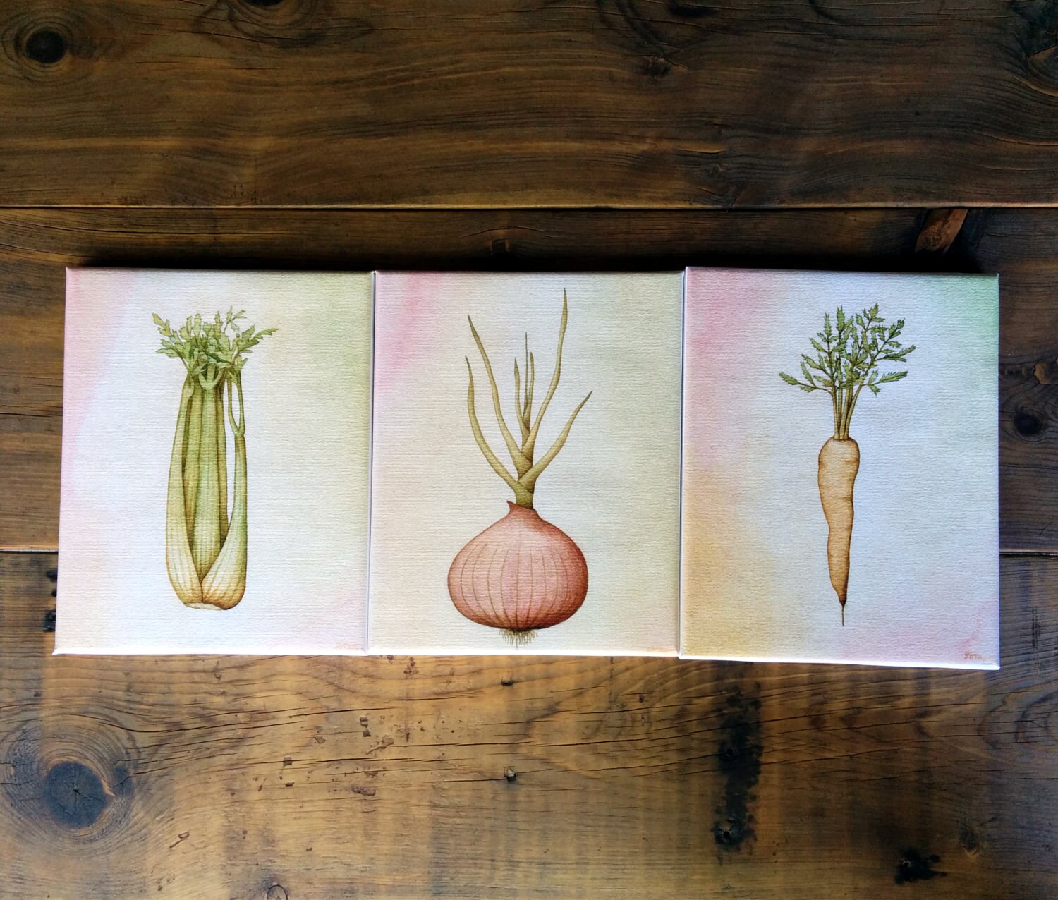 Mirepoix Vegetables Trio Onion Carrot Celery 8 X 10 Etsy