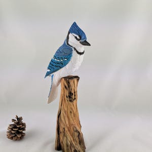 Handgeschnitzte Blauhäher Holzskulptur: 30 cm großer Singvogel