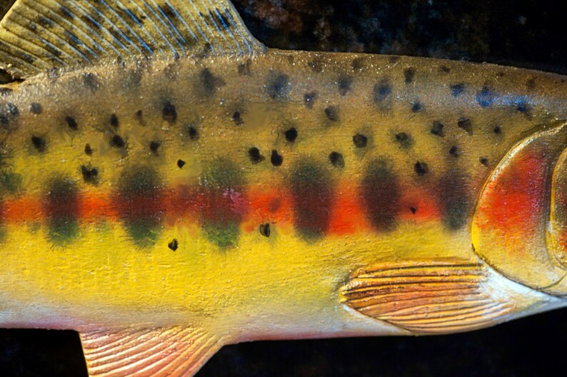 Handcarved and Painted Wooden Golden Trout Etsy