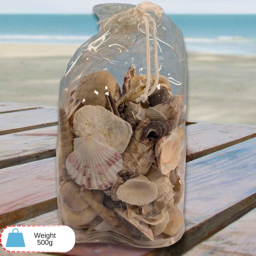 Shell 500g Real Sea Shells – 500g Natural Coastal Crafting Shells - Etsy UK
