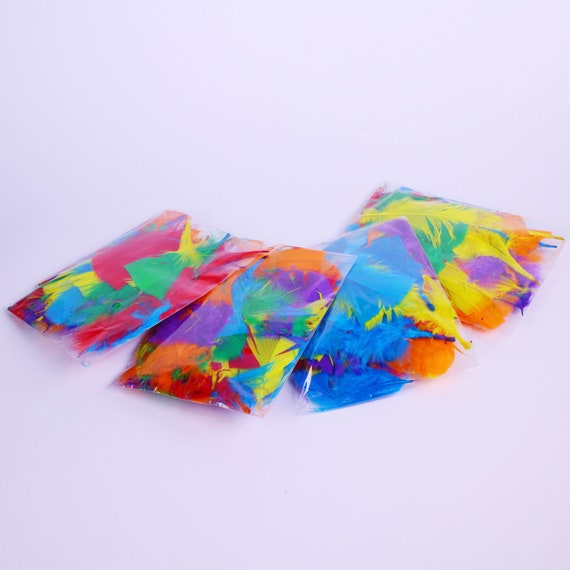 Fluffy Craft Feathers Assorted Coloured for Kids Collage Bright Mix Pack of 28g